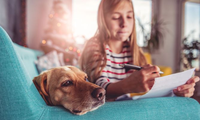 Propósitos 2021 en beneficio de los animales.