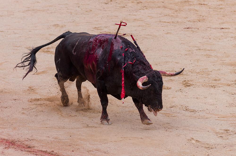 BENITO JUÁREZ, el presidente que prohibió las corridas de toros.